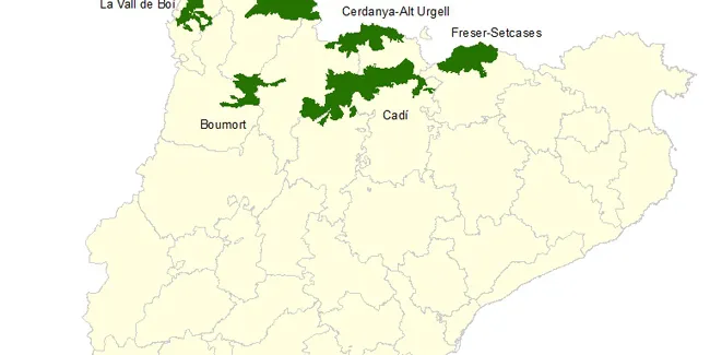 Adjudicats els permisos de caça a les reserves del Cadí i de Cerdanya-Alt Urgell