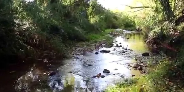 L’Associació Mediambiental La Sínia d’Altafulla ofereix a Montferri un taller de rastreig de mamífers carnívors del riu Gaià