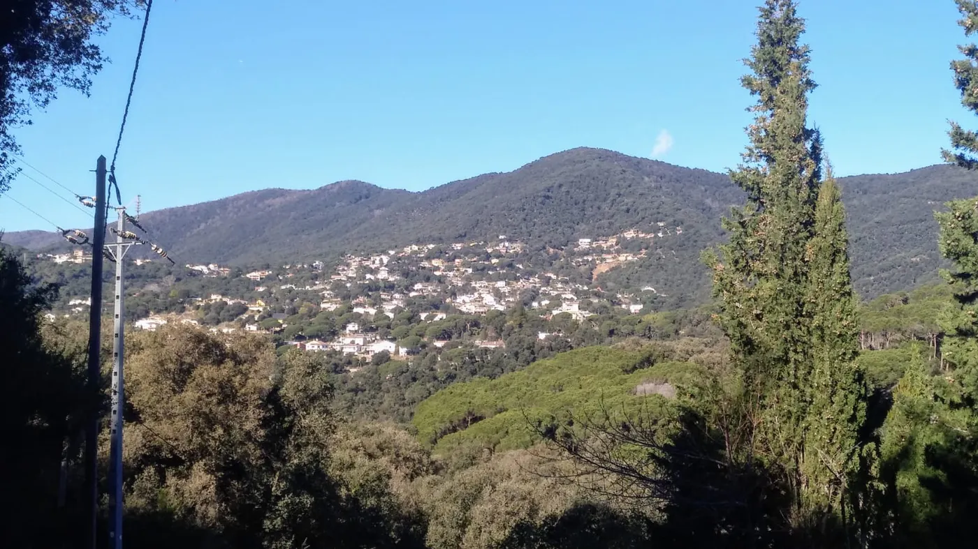 Prohibit fer foc a zones properes al bosc