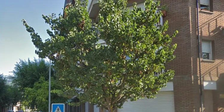 RTVE posa a la venda un local de la seva propietat ubicat a la Seu d'Urgell