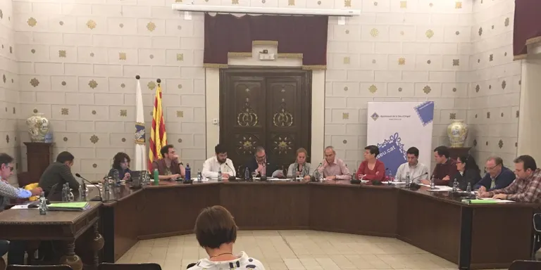 L'Ajuntament de la Seu aprova parcialment una moció sobre transparència en els ajuts a cooperació