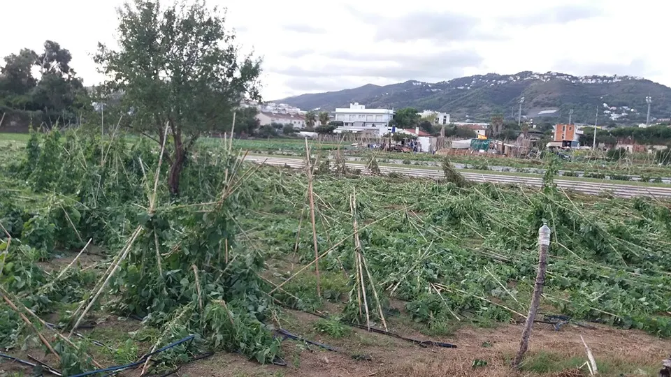 Arriba la calma després del temporal