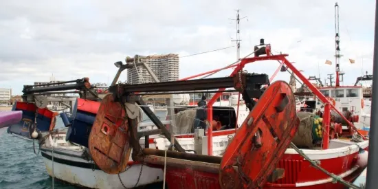 La pesca al Maresme i l'estat de les platges i el fons marí, es debaten a Calella