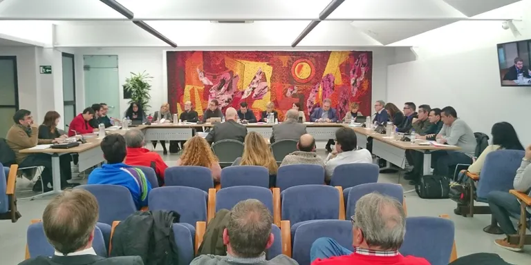 Llum verda del ple de l'Ajuntament de Pineda a remunicipalitzar el servei de la zona blava