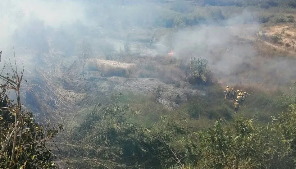 Els Bombers estabilitzen l’incendi de Picamoixons