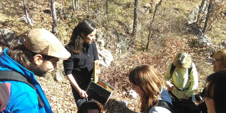 Trobada de voluntariat per restaurar caixes-niu a la Muntanya d'Alinyà