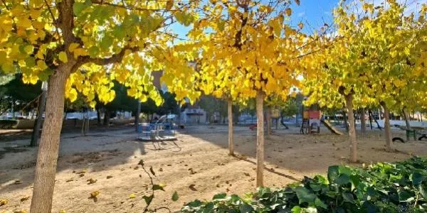 Torredembarra crearà una unitat especial per al manteniment de parcs i zones verdes