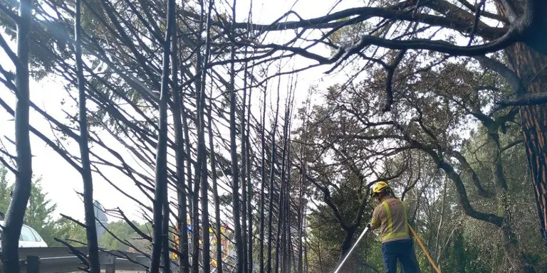 Ensurt per un incendi forestal ahir al migdia a Riner