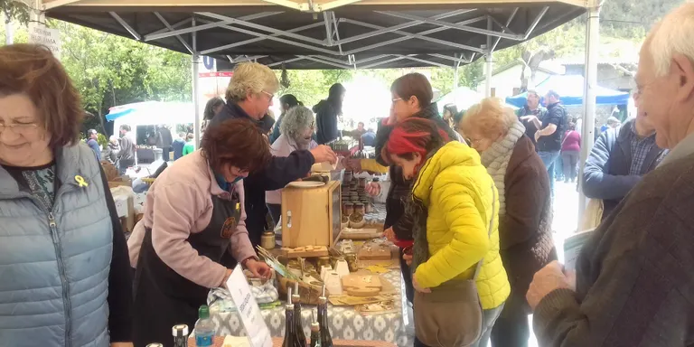 Suspesa la Festa de les Trementinaires 2020