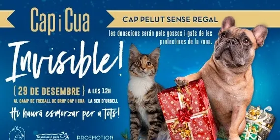 L'Associació pels Animals del Pirineu i ASAC treuen a la venda el seu Calendari 2020