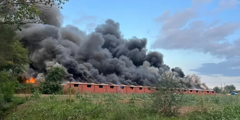 Moren prop de 6.600 porcs en l'incendi de la granja de Cornellà del Terri