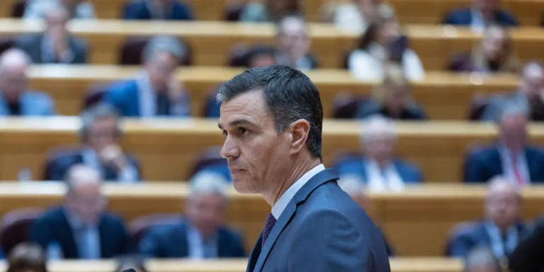 Sánchez insisteix que el procés ha acabat i adverteix que el referèndum "no és una solució"