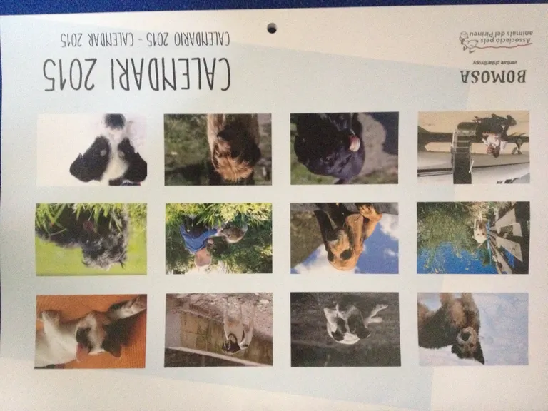 A la venda el Calendari 2015 de l'Associació pels Animals del Pirineu
