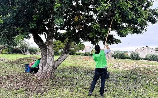 Foto: Ajuntament de Torredembarra