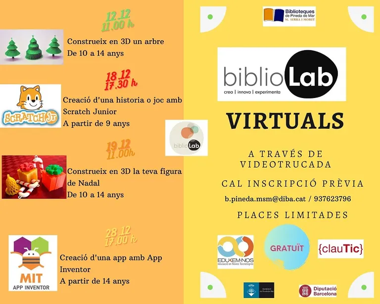 Taller virtual per a construir un arbre en 3D a la biblioteca