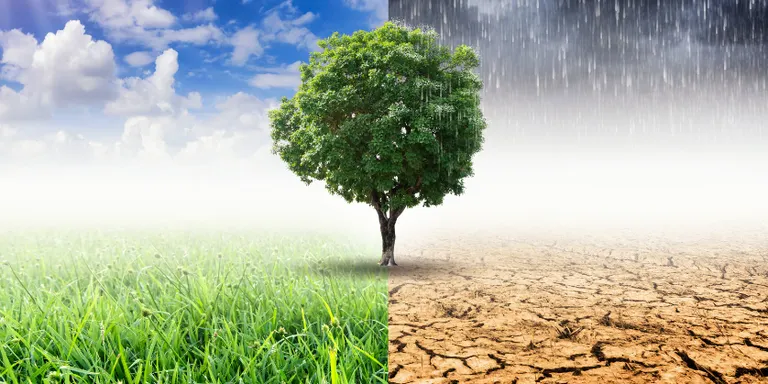 Dia internacional d’acció pel canvi climàtic