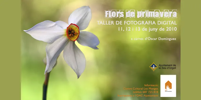 La Seu organitza un taller de fotografia de flora