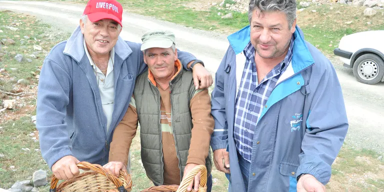 Continua el debat per la regulació de la recollida de bolets