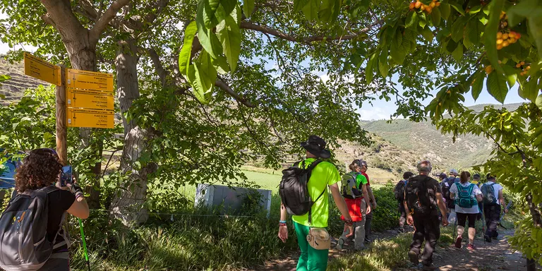 Enllestida la senyalització de la zona nord de la xarxa de camins del projecte Camina Pirineus