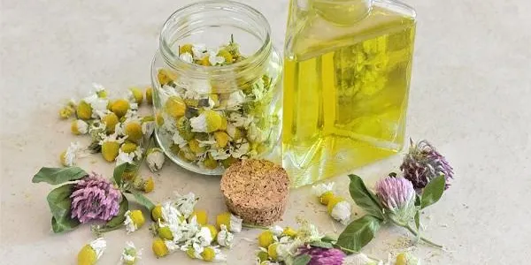 La Regidoria d’Acció Social i l’Hort de la Sínia organitzen un taller d’aromateràpia i cosmètica natural