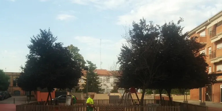 L'Ajuntament demanarà explicacions a FCC sobre el servei de neteja que presta