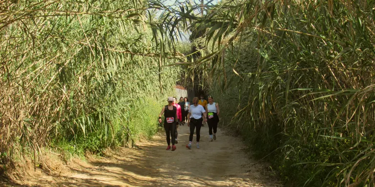 Més d'un centenar de persones participen de la marxa del Cau Flos i Calcat