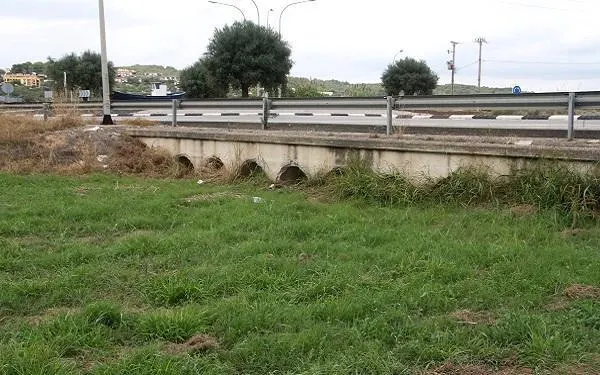 Foto: Arxiu