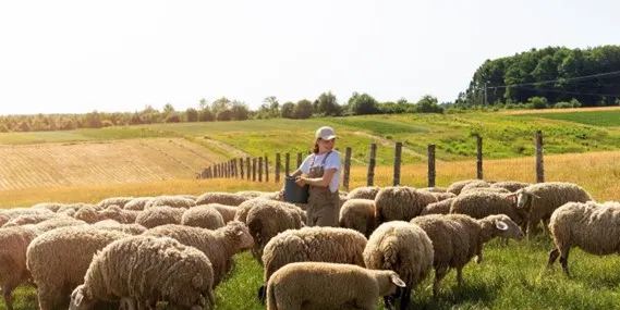 L’Ajuntament d’Arbúcies organitza un curs de pastor per fomentar l’agroecologia i la conservació de la natura