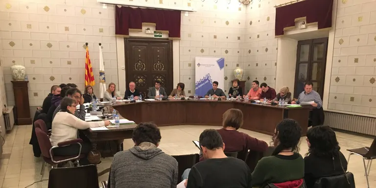 La Seu estudiarà la instal·lació d'urinaris públics