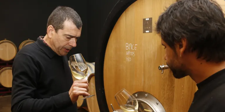 La DO Costers del Segre fa una crida a consumir vins del territori