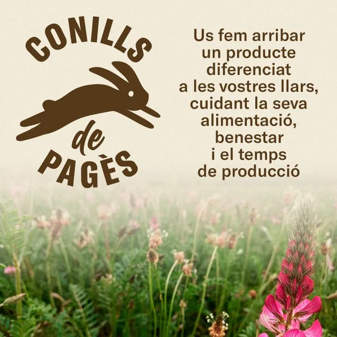 <strong>Una ramaderia de Prades de la Molsosa impulsa la creació de la marca col·lectiva "Conills de pagès"</strong>
