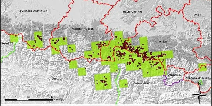 La presència d'óssos als Pirineus segueix augmentant i arriba als 43 exemplars