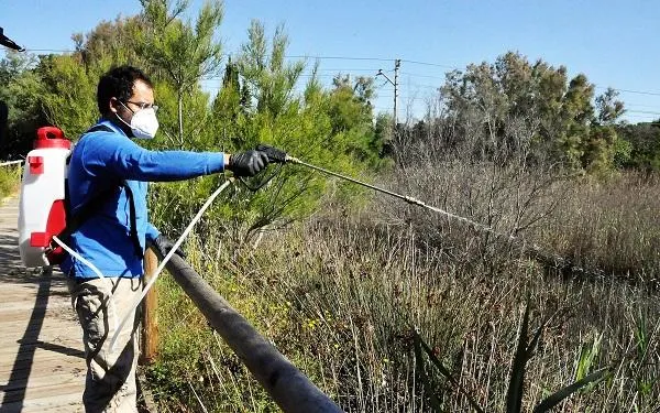 Foto: Ajuntament de Torredembarra
