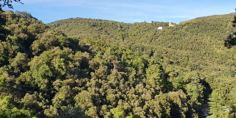 Dissabte es farà la jornada 'Batecs del Montnegre' a Hortsavinyà
