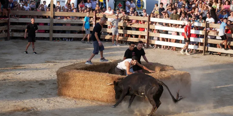 L'aprovació de la tempta de vaquetes per festa major torna avui a passar per ple