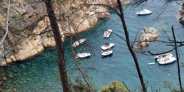 SOS Costa Brava denuncia que el fondeig salvatge al litoral de l'Empordà queda "impune" tot i repetir-se "any rere any"