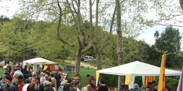 L'Aplec de l'Erola arriba amb activitats per a tota la família
