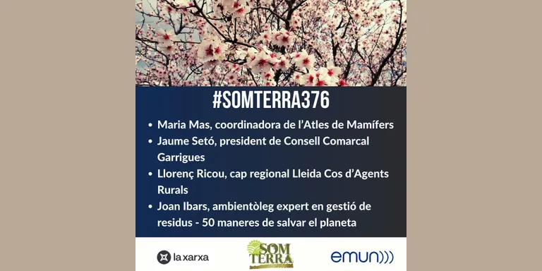 Som Terra 376