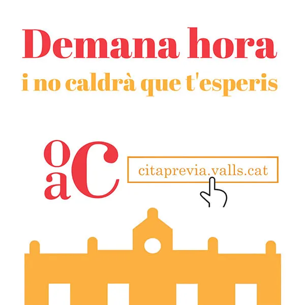 Valls reprèn el servei d’expedició del DNI