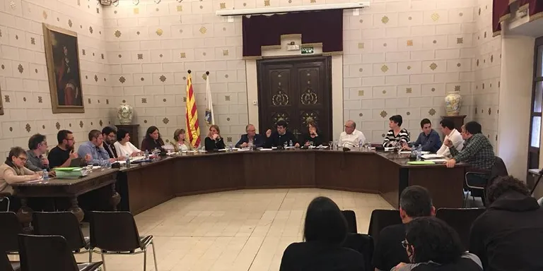 La CUP demana un seguiment i control efectius del compliment de les mocions aprovades a la Seu