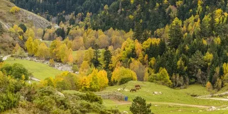 Un estudi alerta de la sobrecàrrega turística a la vall de Bonabé, al Parc Natural de l'Alt Pirineu