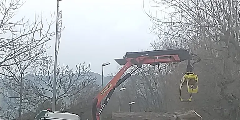 La poda dels plataners de la Riera s’ha fet enguany seguint les directius marcades per l’estudi sobre l’estat dels arbres