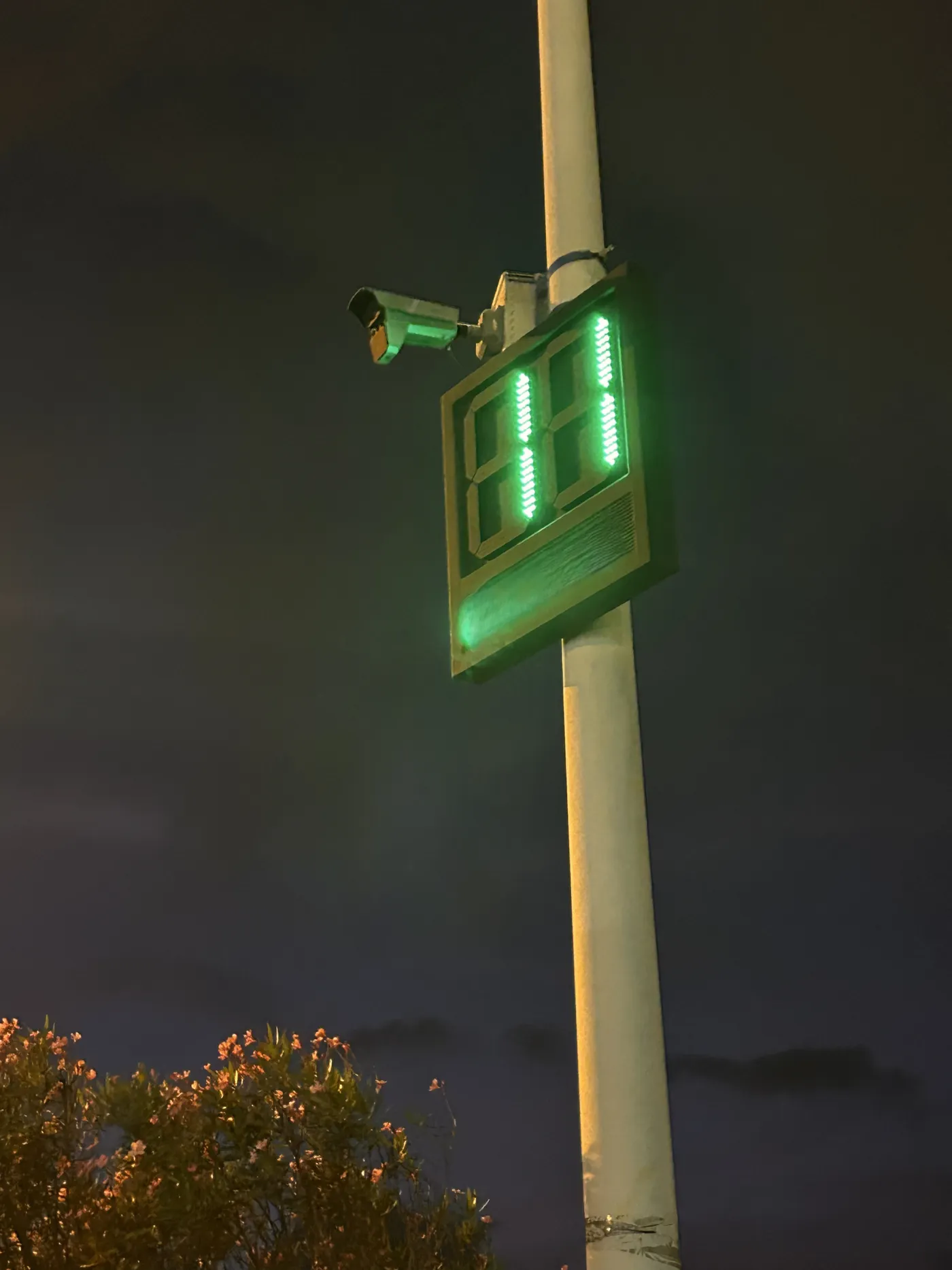 ¿Quién autorizó mostrar las matrículas de los conductores en plena vía pública de Las Rubiesas?