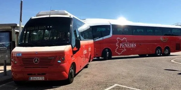 Roda de Berà obre la convocatòria 2023 d’ajuts al transport públic per estudis reglats no obligatoris