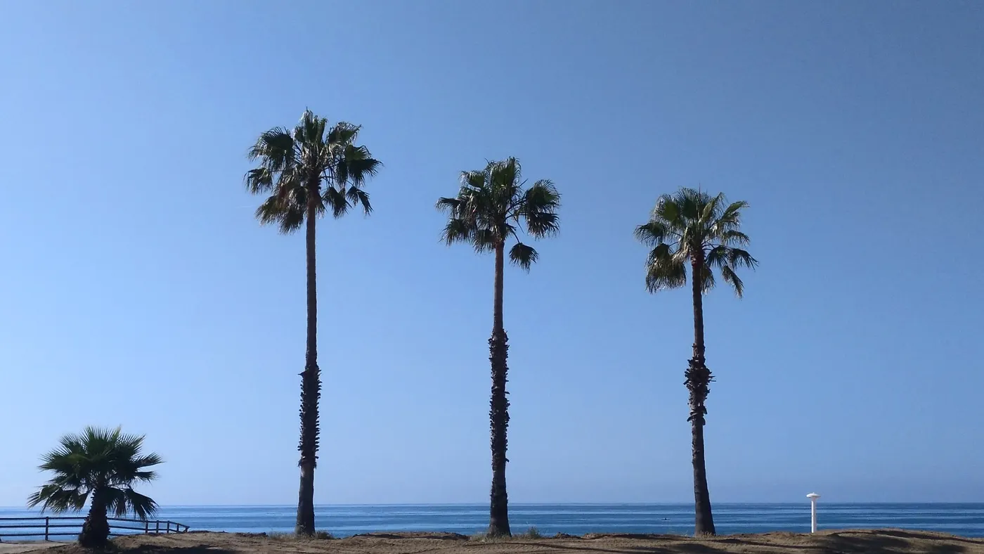 Bon temps en una setmana típica de primavera