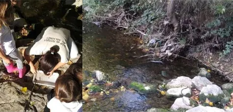 El Grup de Natura organitza una activitat familiar d'inspecció del riu Negre
