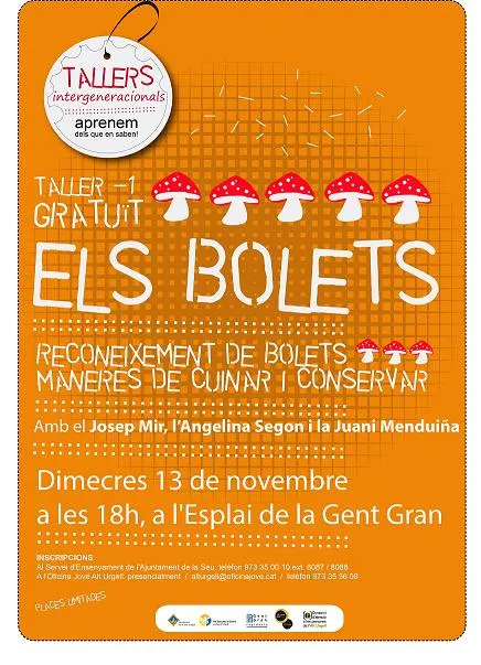 Taller gratuït sobre bolets a càrrec de la gent gran de la Seu