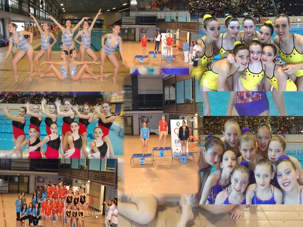 Collage de fotografies de les últimes competicions dels grups de sincronitzada / CNR