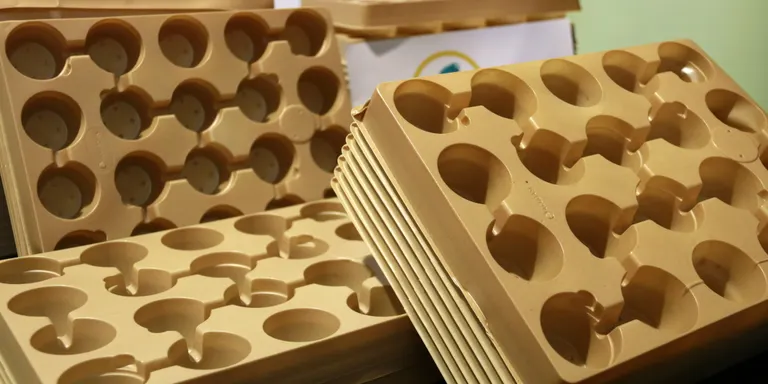 Creen safates biodegradables per a planter fetes amb plomes de pollastre