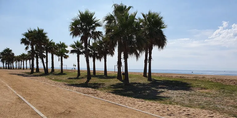 Dissabte arriba a Pineda, per iniciativa ciutadana, el projecte 'Libera, unidos contra la basuraleza'
